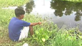 Best Fishing Video ~ Traditional Hook Fishing in Village Daily Life (Part-432)