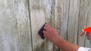 Xtreme Magic - Mold & Mildew off Wooden Fence demonstration.