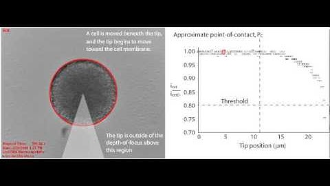 Cell manipulation via single cell electroporation (Proof of principle work)