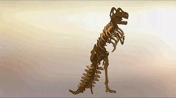 Radical i Design - Grrrrr! - Created in Solidworks