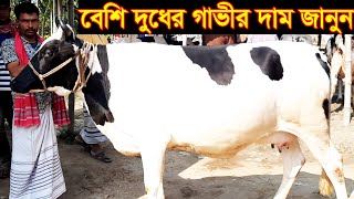 উওরবঙ্গের বিখ্যাত অরনখোলা হাট থেকে অধিক দুধের গাভীর দাম জানুন cow price 2020