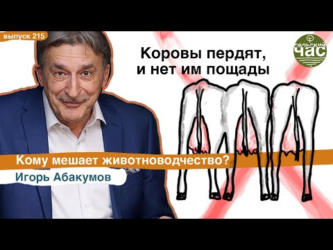 Коровы пердят и