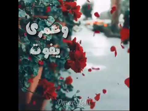 بشوفيك معايا ولو مش معايا حالات واتس اب 2021