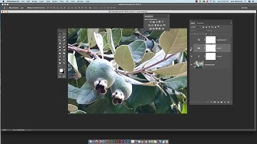 Converting Color Images to Greyscale
