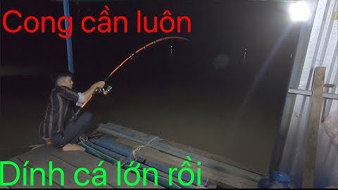 Đi câu tôm càng xanh và câu cá dính,dính được cá tra lớn || Đồ Câu Minh Cá Minh Tiến