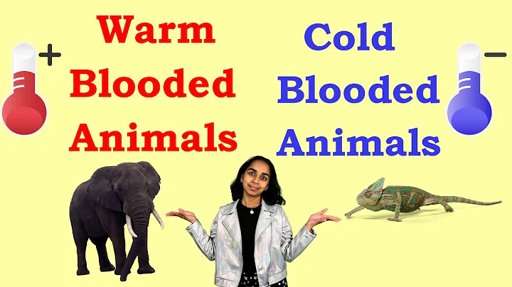 Warm-Blooded vs Cold-Blooded: What’s the Difference?