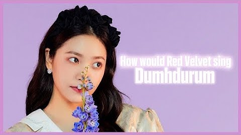 How would Red Velvet sing Dumhdurum by Apink? Line Distribution at the end and in desc.