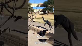 funniest extreme sports fails🤣 #shorts