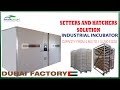 Industrial Incubator Setter and Hatcher | Capacity from 4,800 to 115,200 eggs