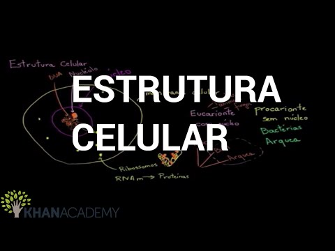 Vídeo: Quais são as estruturas de uma célula?