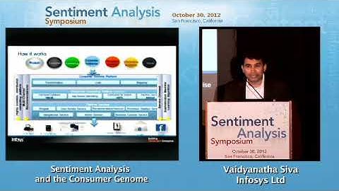 sentiment analysis and the consumer genome, vaidyanatha siva, infosys