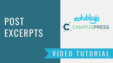 How To Use Excerpts On Your WordPress Posts