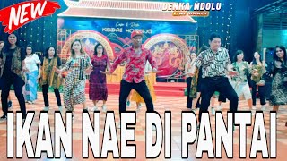 IKAN NAE DI PANTAI || LINE DANCE || CHOREO DENKA NDOLU || ATMANREC ALFRED GARE FT PAX GROUP ||