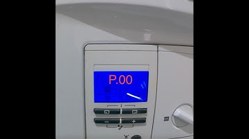 Vaillant Ecotec | How To Put It Into Purge Program / P.00