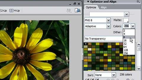 Create a Custom Color Palette From an Image in Fireworks CS3
