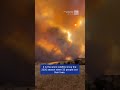 Fighting Wildfires In The Australian Bush