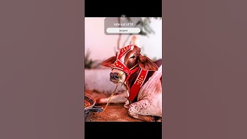 Day 1 #irfanjunejo #photography