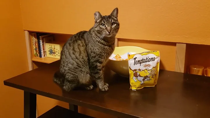Benji and the Temptations