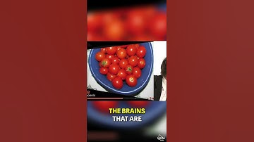 Maximize Focus: Master the Pomodoro Technique Now