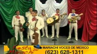 El Aventurero Mariachi Voces de Mexico  Tacho