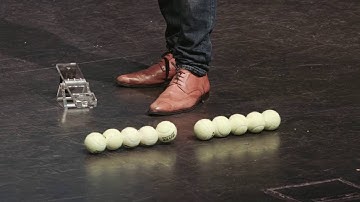 Plants, photosynthesis, and organic electronic materials