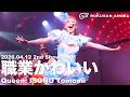 職業かわいい / Queen：磯野ともみ 2026.04.12 2nd ShowTime #63Angel #ともみTokyoLast