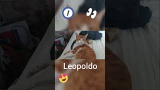 #Shorts #Cortos #ShortVideo Despertando a Leopoldo  😴 💤🥱