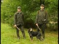 Chasse : Le lièvre aux chiens courants - Documentaire