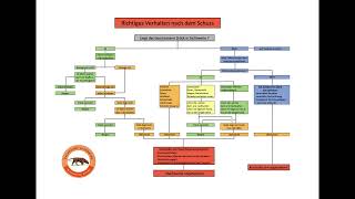 Nachsuche Luxemburg Anschusslehrgang de/fr/en