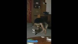 Best Friends at Play by ilovetobamom 237 views 4 years ago 1 minute, 28 seconds