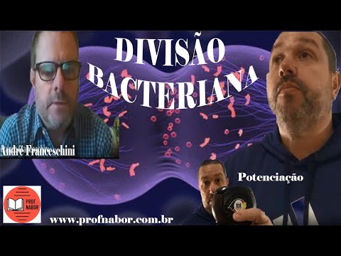 Reprodução Bacteriana e Potenciação