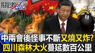 中國兩會後怪事不斷又燒又炸！？ 四川森林大火火勢蔓延數百公里、雲南也冒山火！？【關鍵時刻】20240319-5 劉寶傑 黃世聰 林裕豐 吳子嘉 王瑞德