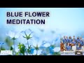Music of Sri Chinmoy - Blue Flower 2