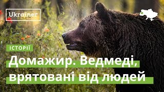Domazhyr. Bears rescued from humans · Ukraïner