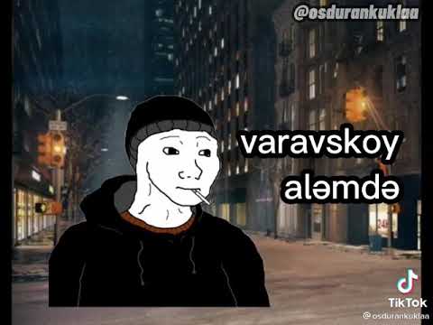 varabiskoy alemde myau sozu yoxdu 😂😂