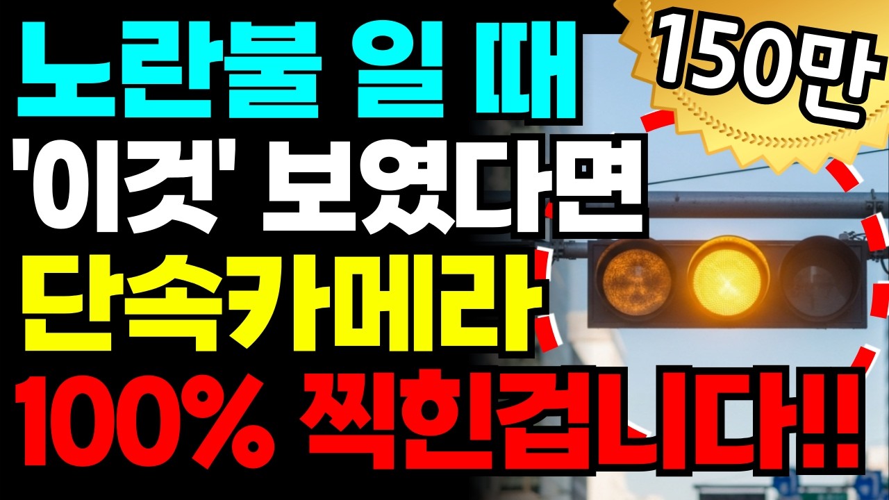 노란불에 멈춰도 단속 된다? 과속신호위반 카메라 100% 찍히는 순간 / 루프 센서 / 속도 오차 / 이파인 과태료 조회 총정리 / 시니어 운전자 꿀팁 / 초보운전 가이드