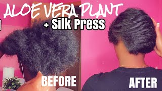 How To: Aloe Vera Treatment + Silk Press + ✂️