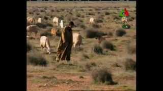 Algerie,Saida, réhabilitation des terres agricoles.