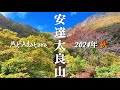 【安達太良山2024秋】 10月 ほんとの空で迎えてくれた 紅葉はまだまだこれから見頃になります