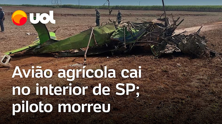 Avião de pequeno porte cai em fazenda no interior de SP e piloto morre; vídeo mostra avião destruído