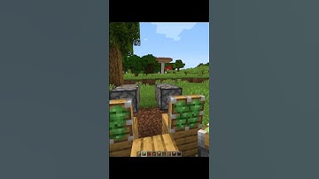 Minecraft Block Swapper(SEMPERO) #minecraft #shorts