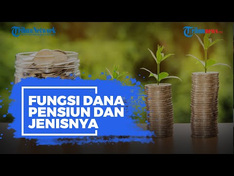 Video: Cara memeriksa organisasi: cara memeriksa perusahaan