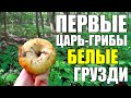 ГРУЗДИ ПОШЛИ!!! БЕЛЫЕ ГРИБЫ И БЕЛЫЕ ГРУЗДИ в АВГУСТЕ 2020! В выходной после обеда!