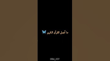 🦋🖤 #quran #تلاوة_خاشعة #قرآن #اكسبلور #اول_فيديو #shortvideo #فلسطين #Bilal_X77