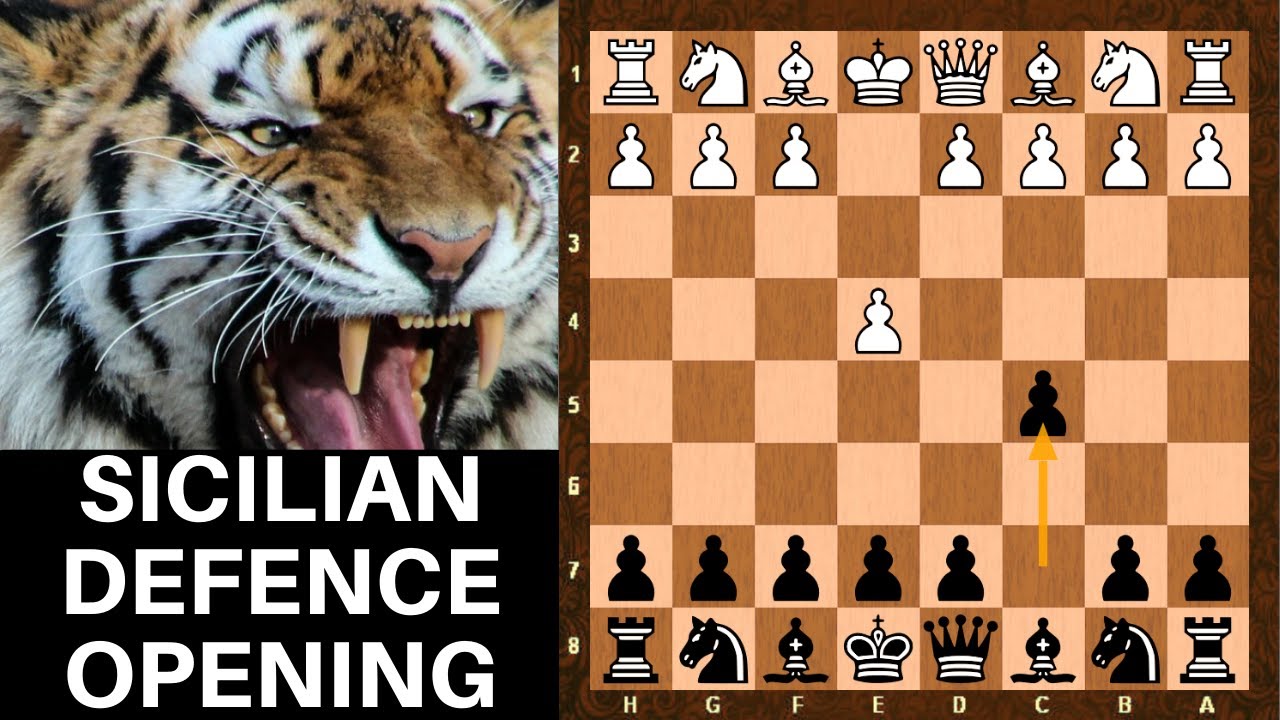 Sicilian Defense (introduction, ideas & variations) ⎸Chess Openings 