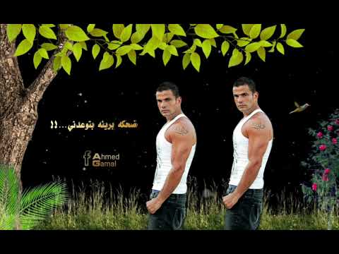 مايتحكيش عليها عمرو دياب