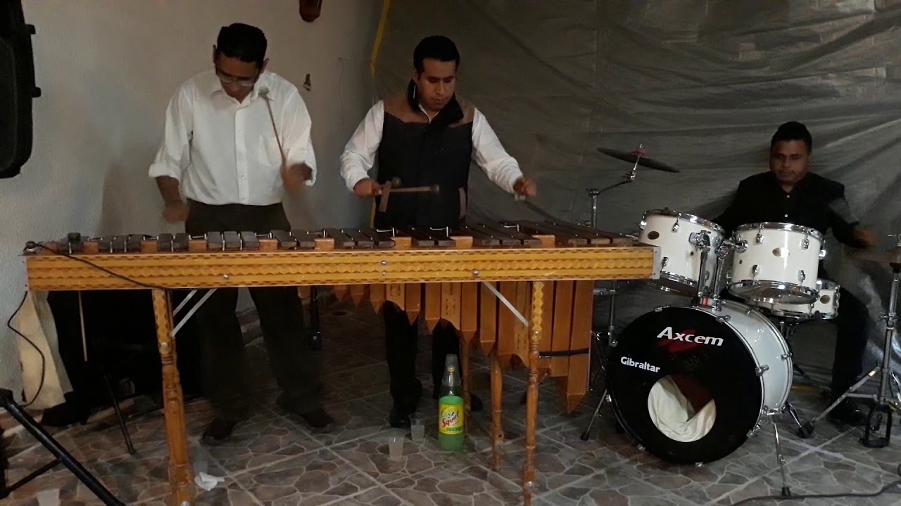 Norma la de Guadalajara / Marimba Tradicional "ámbar" 7226744319