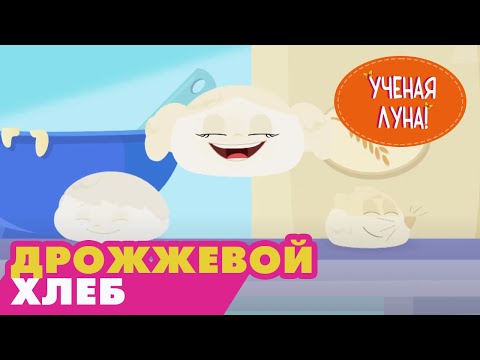 УЧЕНАЯ ЛУНА! (19 серия) (2014) мультсериал