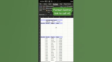 How to add Radio Buttons and filter function in Excel #spreadsheets #excel #exceltips #excelfansonly
