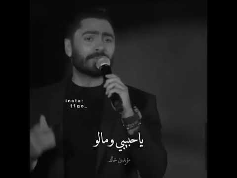 تامر الحسني اجمل اغنيه لتامر الحسني اغنيه عشنا وشفنا